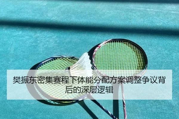 樊振东密集赛程下体能分配方案调整争议背后的深层逻辑